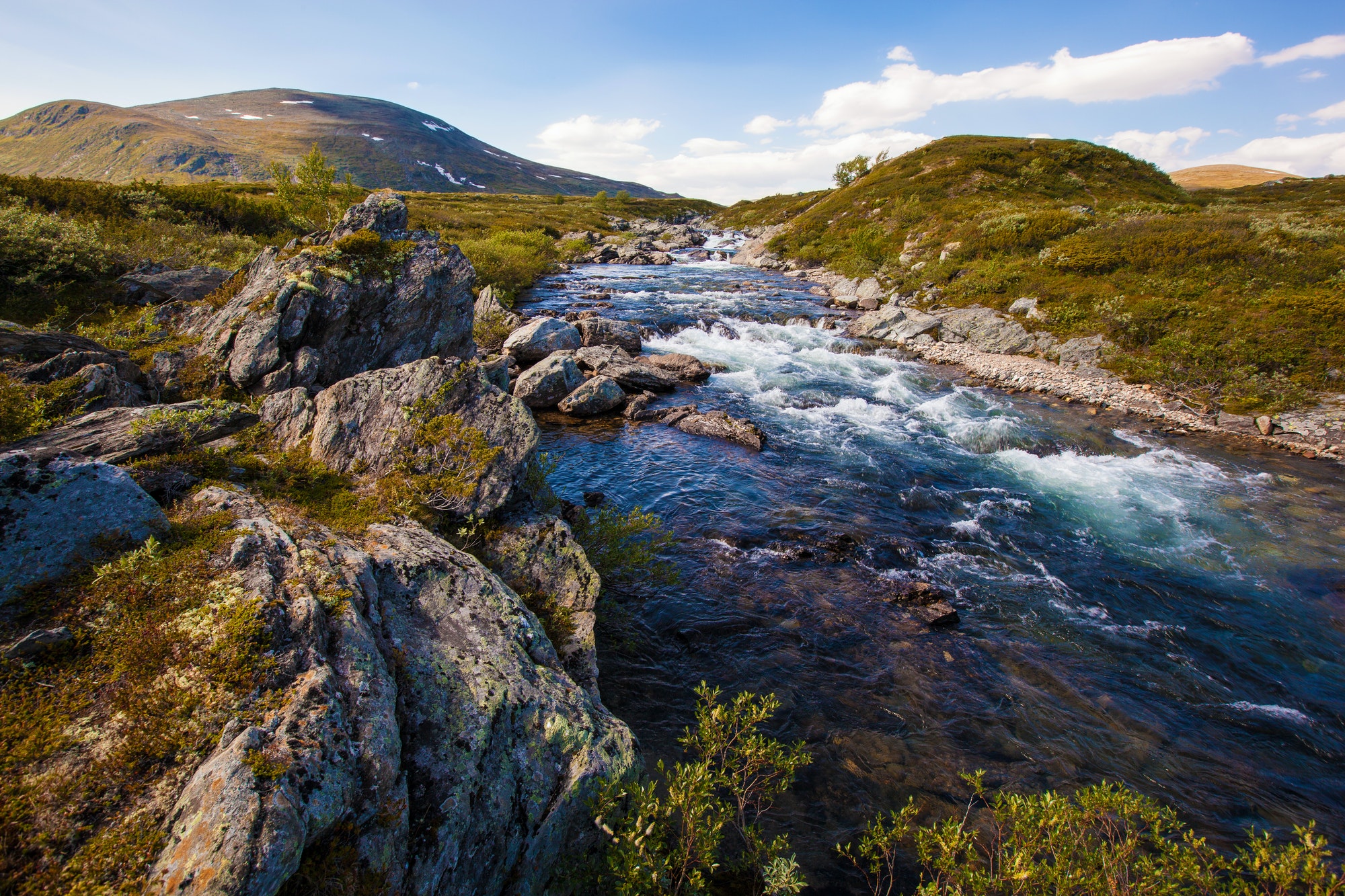 sunny landscape Norway mountains Dovrefjell river