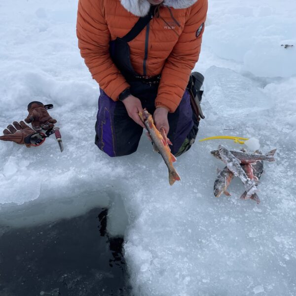 arctic char fishing karasjok samipath scaled
