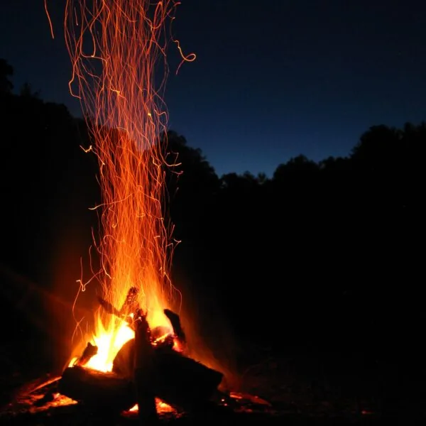 campfire making memories dinner