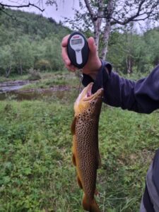 ørret trout valjok karasjok finnmark samipath fishing tours ørretturer padletur ekspedisjon besøk samene padletrip