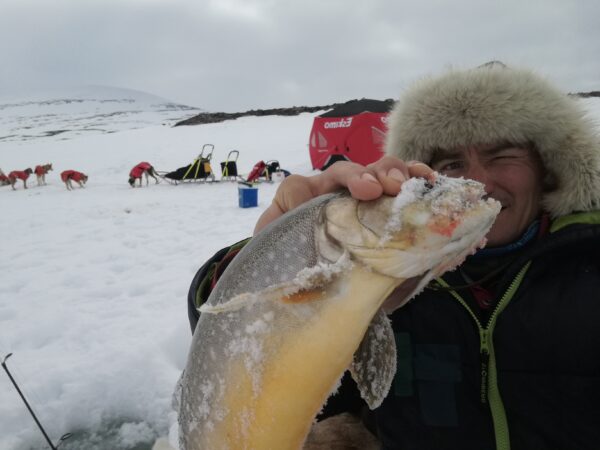 Gruppetur! Alta - Karasjok. Den klassiske skituren over Finnmarksvidda. Arktisk viddeliv med pulk, telt og felleskap - Image 11
